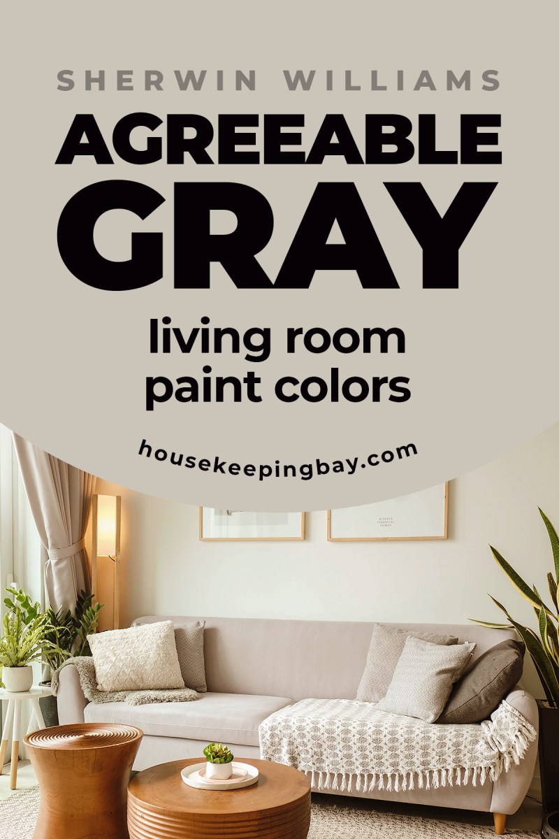 Carpet Color For Agreeable Gray Walls Paint Color Ideas
