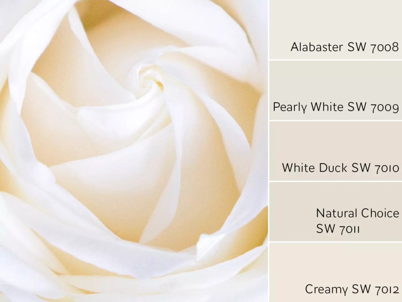 Behr Paint Similar To Sherwin Williams Alabaster Paint Color Ideas