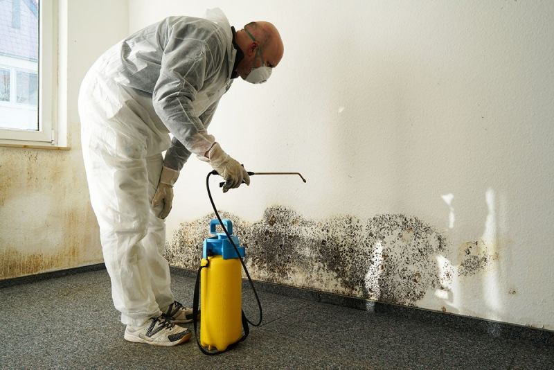 How To Remove Mold From Brick Basement Walls Paint Color Ideas