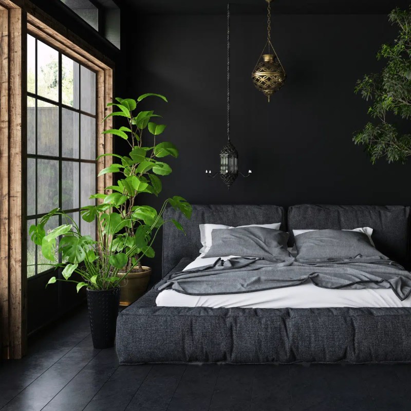 Most Popular White Paint Colors For Walls Paint Color Ideas