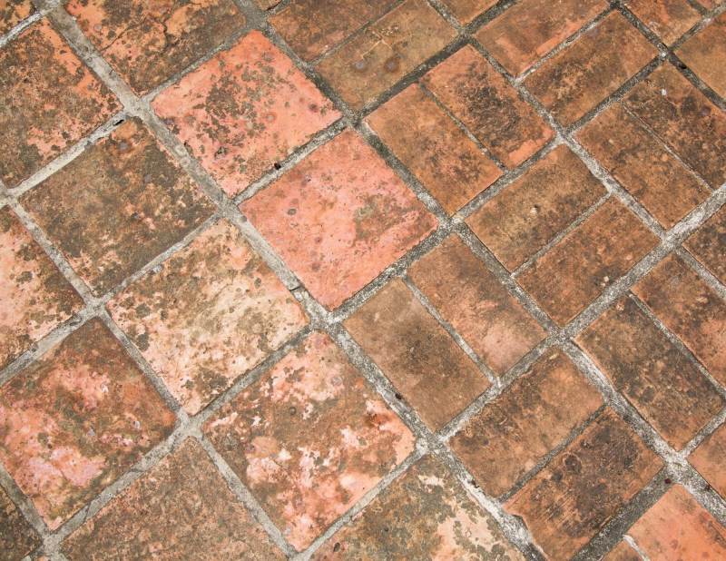 Remove Mold From Brick Pavers Paint Color Ideas