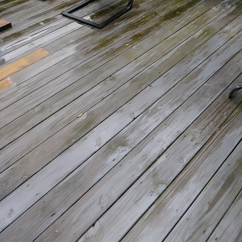 Sherwin Williams Modern Gray Undertones Paint Color Ideas